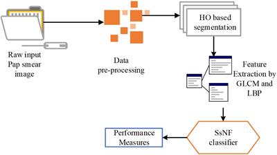 HO-SsNF: heap optimizer-based self-systematized neural fuzzy approach for cervical cancer classification using pap smear images